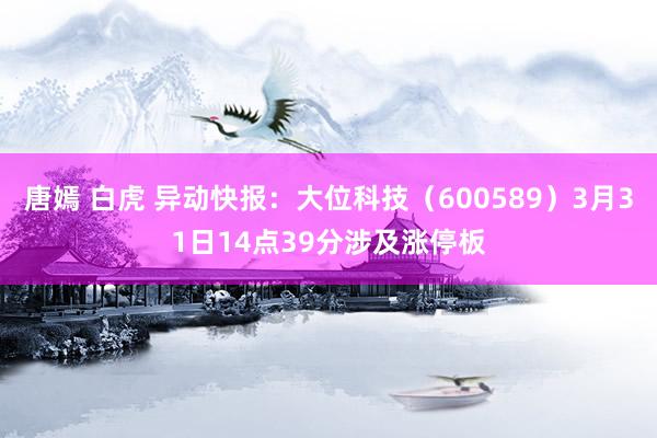 唐嫣 白虎 异动快报：大位科技（600589）3月31日14点39分涉及涨停板