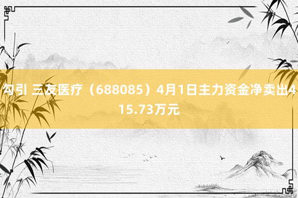 勾引 三友医疗（688085）4月1日主力资金净卖出415.73万元
