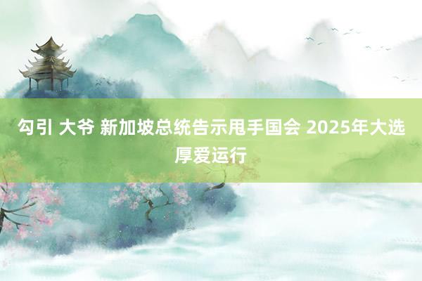 勾引 大爷 新加坡总统告示甩手国会 2025年大选厚爱运行
