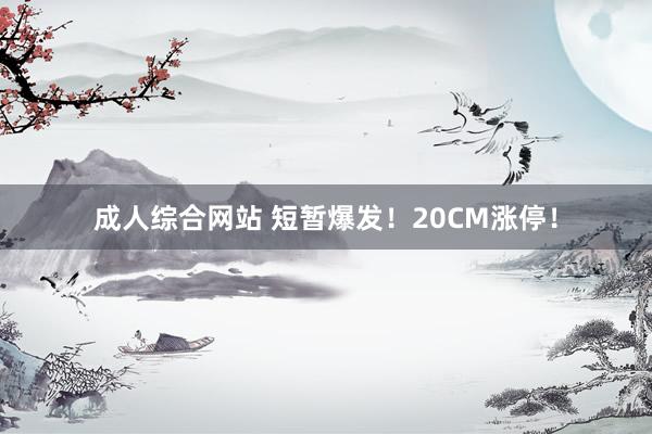 成人综合网站 短暂爆发！20CM涨停！