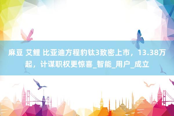 麻豆 艾鲤 比亚迪方程豹钛3致密上市，13.38万起，计谋职权更惊喜_智能_用户_成立