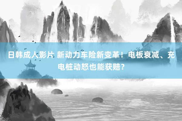 日韩成人影片 新动力车险新变革！电板衰减、充电桩动怒也能获赔？
