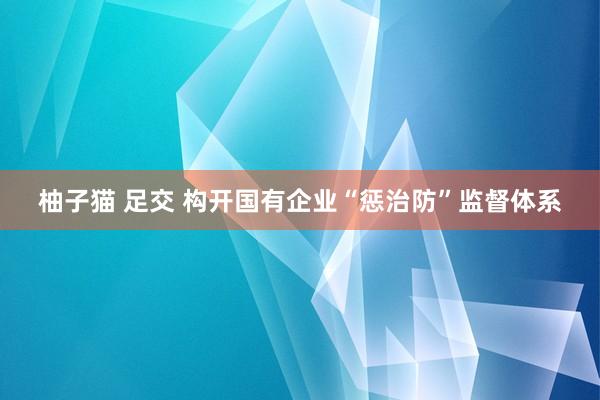 柚子猫 足交 构开国有企业“惩治防”监督体系