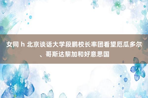 女同 h 北京谈话大学段鹏校长率团看望厄瓜多尔、哥斯达黎加和好意思国