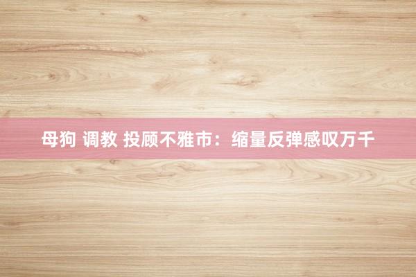 母狗 调教 投顾不雅市：缩量反弹感叹万千