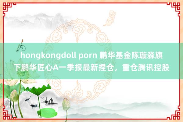 hongkongdoll porn 鹏华基金陈璇淼旗下鹏华匠心A一季报最新捏仓，重仓腾讯控股