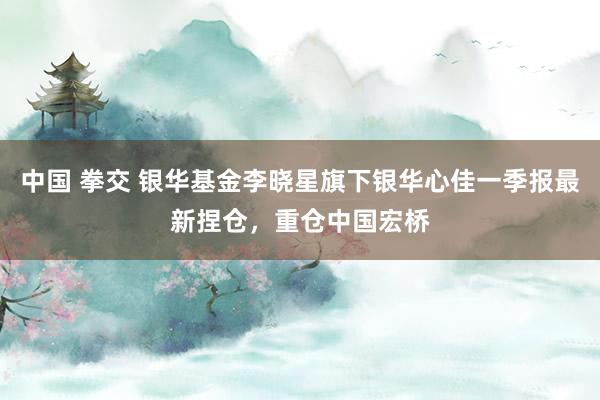 中国 拳交 银华基金李晓星旗下银华心佳一季报最新捏仓，重仓中国宏桥