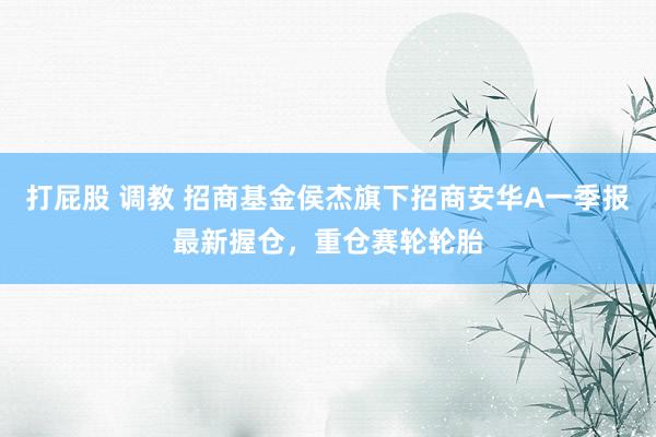 打屁股 调教 招商基金侯杰旗下招商安华A一季报最新握仓，重仓赛轮轮胎