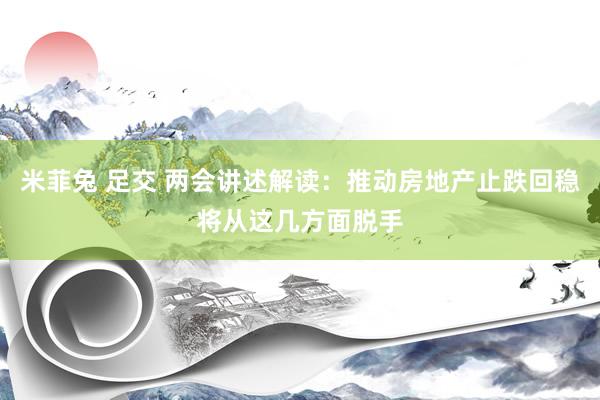 米菲兔 足交 两会讲述解读：推动房地产止跌回稳将从这几方面脱手