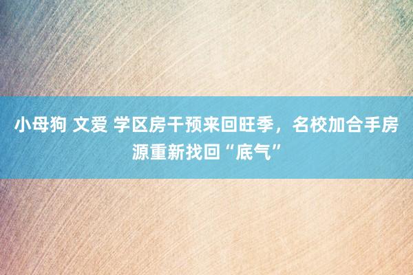 小母狗 文爱 学区房干预来回旺季，名校加合手房源重新找回“底气”