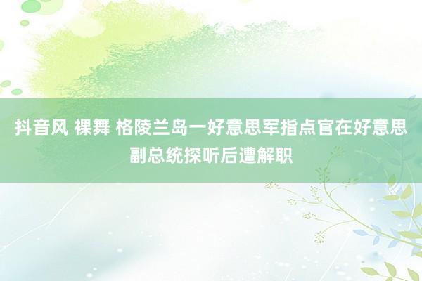 抖音风 裸舞 格陵兰岛一好意思军指点官在好意思副总统探听后遭解职