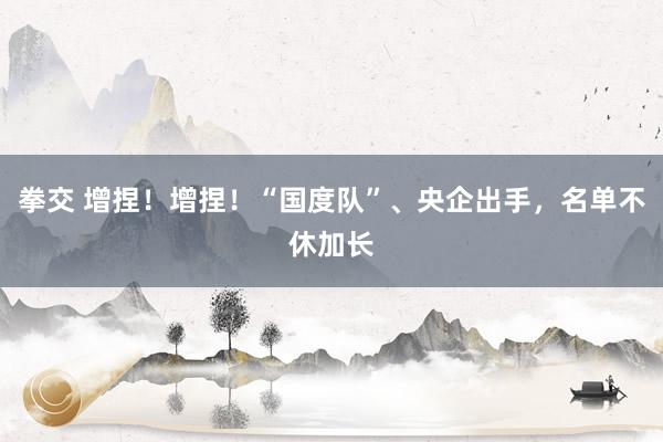 拳交 增捏！增捏！“国度队”、央企出手，名单不休加长
