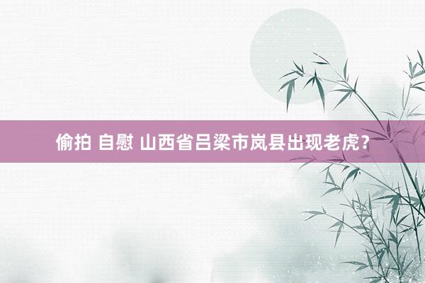 偷拍 自慰 山西省吕梁市岚县出现老虎？