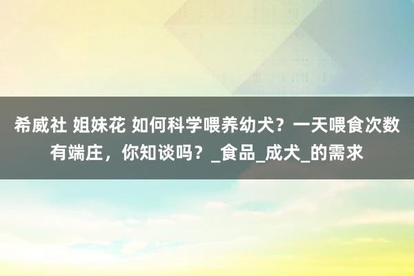 希威社 姐妹花 如何科学喂养幼犬？一天喂食次数有端庄，你知谈吗？_食品_成犬_的需求