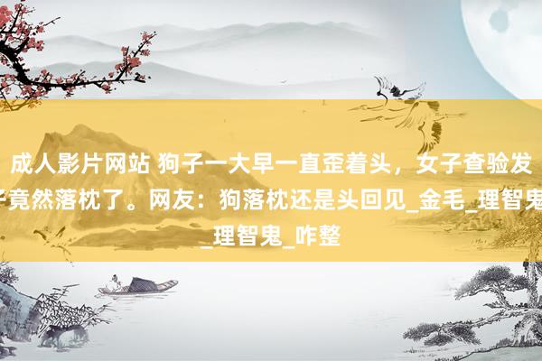 成人影片网站 狗子一大早一直歪着头，女子查验发现狗子竟然落枕了。网友：狗落枕还是头回见_金毛_理智鬼_咋整