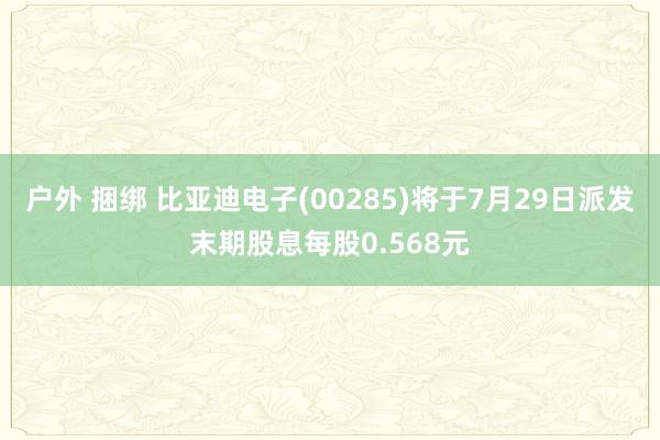户外 捆绑 比亚迪电子(00285)将于7月29日派发末期股息每股0.568元