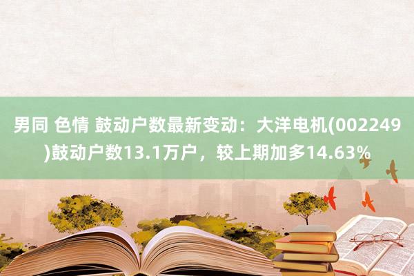 男同 色情 鼓动户数最新变动：大洋电机(002249)鼓动户数13.1万户，较上期加多14.63%