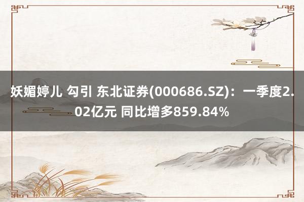 妖媚婷儿 勾引 东北证券(000686.SZ)：一季度2.02亿元 同比增多859.84%